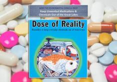 Different colored prescription pills with text on top that says Dose of Reality