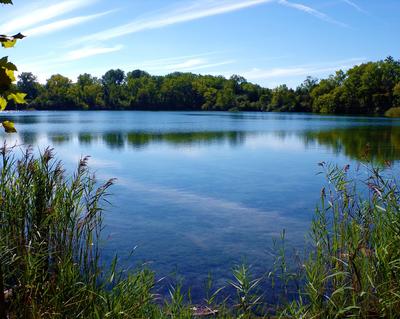 Looking out over water on a sunny day