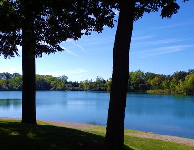 Looking at tree over the water
