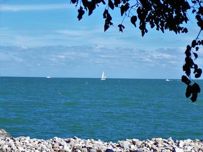 A view of the lake